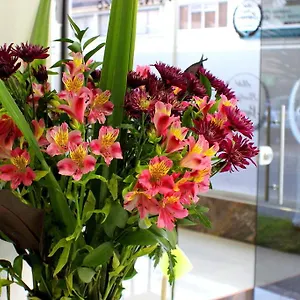** Hotel Boutique Superior Colombia
